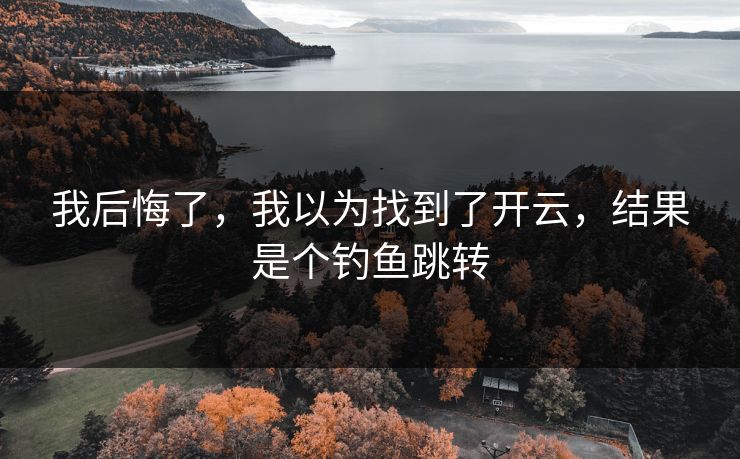 我后悔了，我以为找到了开云，结果是个钓鱼跳转