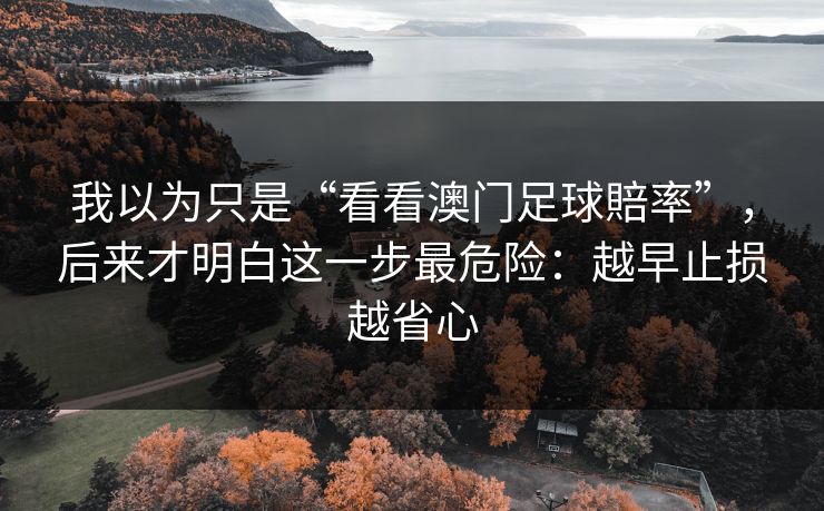 我以为只是“看看澳门足球賠率”，后来才明白这一步最危险：越早止损越省心