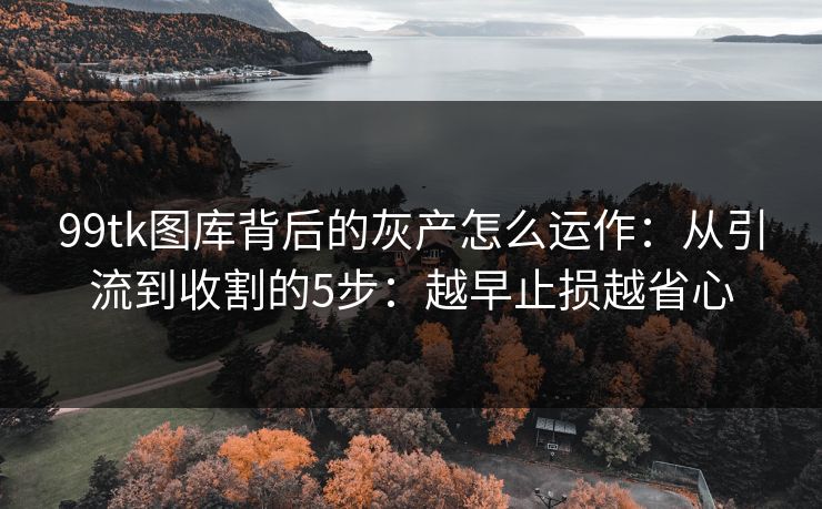99tk图库背后的灰产怎么运作：从引流到收割的5步：越早止损越省心